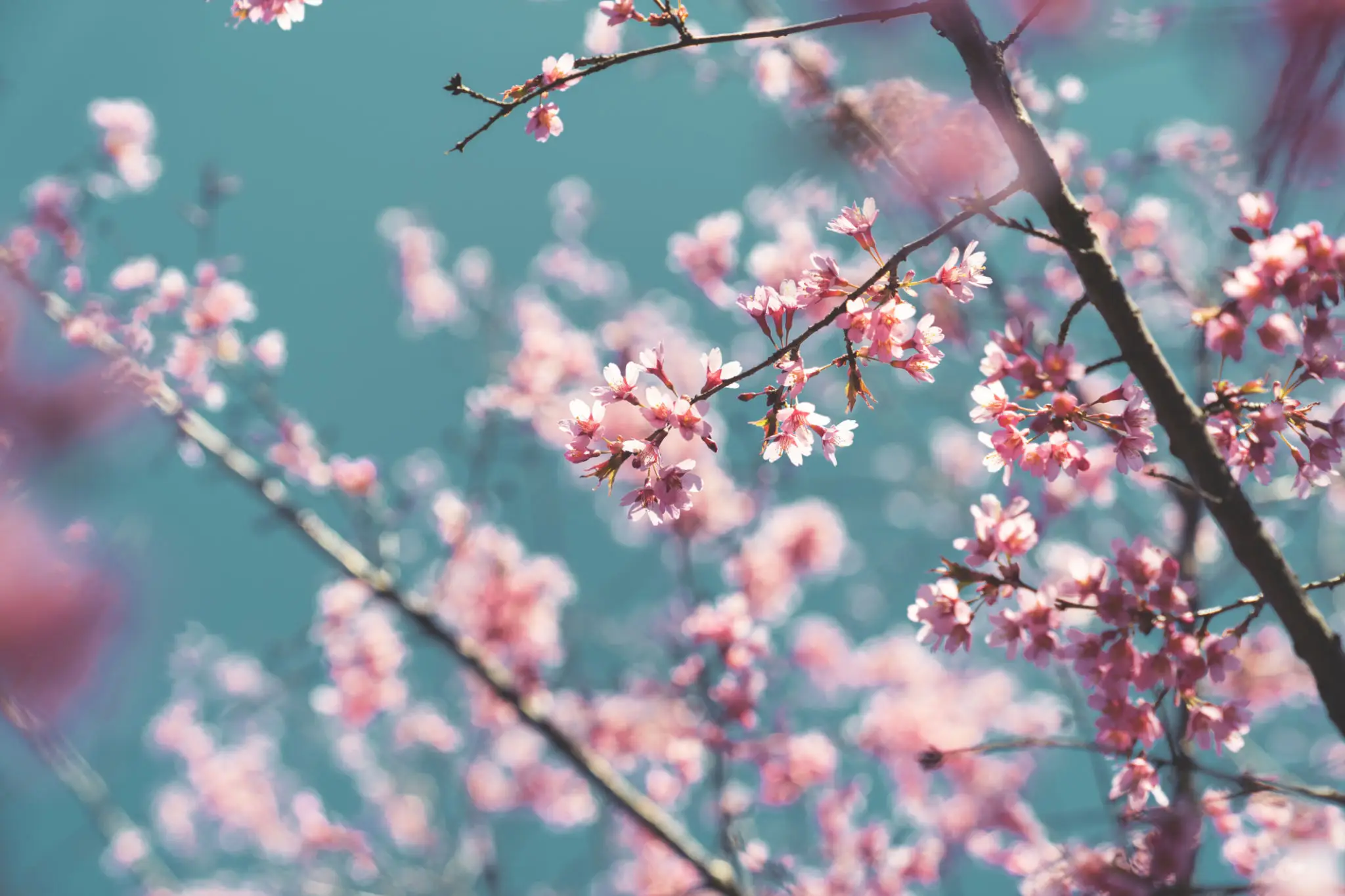 9406166a-dd2a-4dda-bcf0-cca51a8f9b06